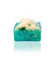 Eucalyptus Natural Pumpkin Fiber Soap