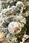 Snow Effect Mixed Color Cici Ball 5 cm 6-Piece Christmas New Year Pine Tree Ornament with String Colorful Shiny - 7