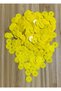Plastic Coated Writing, Evening Dress and Dowry Handmade Stamp with Medium Hole. 20gr. 1115-1120 Quantity.