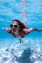 Waterproof Case Compatible with Apple iPhone 11 Phone Case Underwater Container with Neck Strap - 6