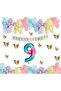 9 Year Old Birthday Set Butterfly Rainbow Unicorn Concept Macaron Balloon Chain