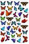 Sticker Embossed A4 Size Stiker Notebook, Planner Label, -(lim097) - Mini Butterflies