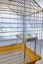 Set Parrot Budgie Stand Rectangular Cage Rack - 4