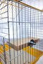 Set Parrot Budgie Stand Rectangular Cage Rack - 3