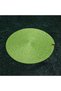 American Serving Plate Set Pistachio Green 6 Plates and 6 Coasters and 6 Napkin Holders - 3
