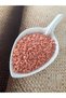 Original Miyuki Delica Beads 11/0 - Db0207 - Number:041 (7.5 Grams)
