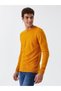 Lf2030179 Mustard M Plv
