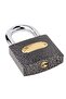 Castle Padlock Casting 50mm