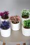Artificial Agrimonia Plant in Mini Concrete Pot Set of 5 - 2