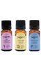 Pure Lavender Oil 10ml + Lemon Oil 10ml + Eucalyptus Oil 10ml 3-Piece Essential Oil Set
