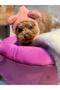 Köpek Peluş Bere - 3