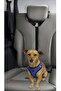 Pet Cat Dog Vehicle Car Auto Travel Seat Mounted Collar - 2