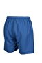 Fundamentals Logo Boxer Erkek - 2