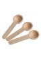 Set of 6 Wooden Mini Scale Spoons - Spice and Jam Spoons 7 cm - 2