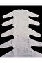 Long Sleeve Shoulder Snaps Crew Neck Baby Top (Pack of 5) - 4
