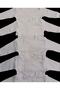 Long Sleeve Shoulder Snaps Crew Neck Baby Top (Pack of 5) - 3