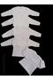 Long Sleeve Shoulder Snaps Crew Neck Baby Top (Pack of 5) - 6