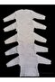 Long Sleeve Shoulder Snaps Crew Neck Baby Top (Pack of 5)