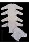Long Sleeve Shoulder Snaps Crew Neck Baby Top (Pack of 5) - 4
