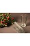 Nessie Water Soft Drink Glass 6 Pcs 520025
