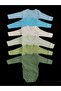 Long Sleeve Self Gloves, Double Breasted Badi with Snaps (Pack of 6) Blue-turquoise-cream-watergreen-teal-mold - 2