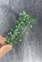 2026 Bridal Accessory Green Color Crystal Stone Handmade Maria Model Henna and Bridal Crown – Crown – Crown - 4