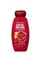 Whole Blends Argan Oil and Cranberry Extract Color Care Shampoo 370ml