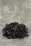 Seedless Cherry Dried 500 Gr - 3