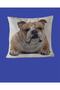 Throw Pillow Pillow with Dog Figure 3D Digital Printed Inner Filling Zippered Washable Throw Pillow 35*35 Cm