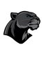 Black Panther Motorcycle, Laptop, Helmet, Car Sticker 13x13 Cm