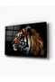 Kaplan Cam Tablo 30x45 cm Dekoratif Duvar Dekoru - 2