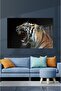 Kaplan Cam Tablo 30x45 cm Dekoratif Duvar Dekoru