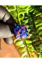 Lapis Lazuli - Pandül Orgonite Necklace (Handmade Design Products) - 3