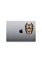 Pitbull Hard Window Sticker - Car, Motorcycle, Helmet, Laptop, 13X10 cm - 6