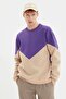 Purple Regular/Normal Cut Fleece/Warm Sweatshirt Tmnaw21Sw1162