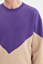 Purple Regular/Normal Cut Fleece/Warm Sweatshirt Tmnaw21Sw1162 - 4