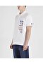 Men's Knitted Polo Shirt C.wCotton - 2