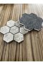 Silver_shadow_nihale - 4