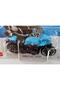 Bmw R Ninet Racer (2023_Hkl01) Th-Treasure Hunt - 5