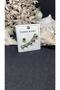 Steel 6-Piece Gold Topcuk Earrings - 4