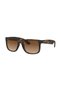 Rb4165 710/13 Unisex Sunglasses