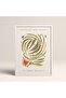 Abstract Colorful Patterns Flower Modern Art Painting with White Laminated Frame