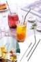 Eco-Friendly 2-Piece Chrome Straw Cleaning Brush with Gift (L-3)