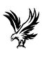 Flying Eagle Auto Sticker, Motorcycle Sticker, Helmet Sticker 14x12 Cm