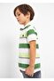 3153 Green Striped Polo T-shirt - 2