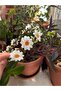 Daisy Crown, Bridal Crown, Bridal Hair Accessory, Bridal Hair Clip, Daisy Crown - 2
