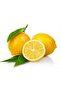 10 Pieces of Lemon Bonnet - Herbal Tea Bonnet - 2