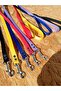 Dog Extension, Walking, Dispatch Strap, Dispatch Collar
