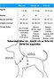 3 Meters Dog Walking Dispatch Strap, 3 Meters Dog Leash Extension, 3 Meters Garden Tie - 2