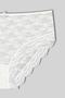 2-Piece Lace High Waist Plus Size Women's Panties - 7